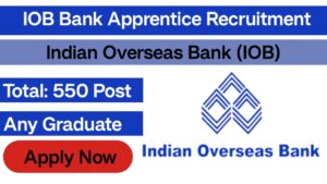 Indian Overseas Bank Apprentice Recruitment 2024